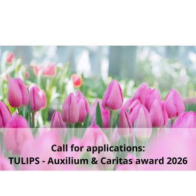 Kopie van Solliciteer nu voor het TULIPS PhD curriculum 2023 2025 2 v2 Kopie van Solliciteer nu voor het TULIPS PhD curriculum 2023 2025 2 v2