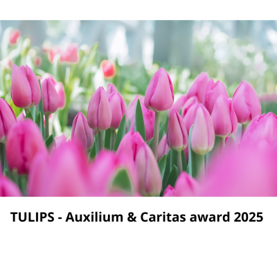 Kopie van Solliciteer nu voor het TULIPS PhD curriculum 2023 2025 2